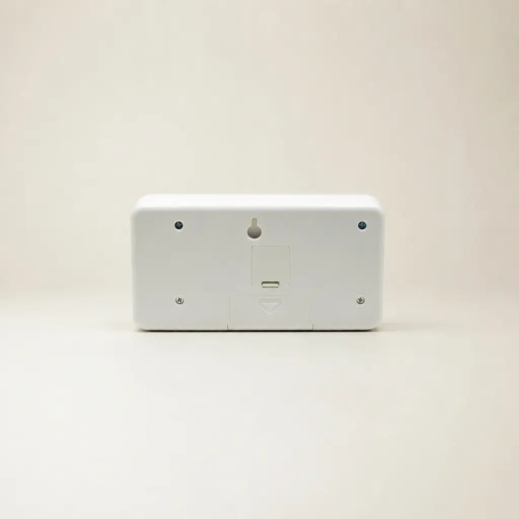 Lamm Fromm Flip Clock WALK ON (Special Edition) Time Will Flip